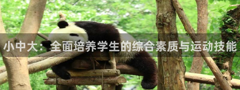 zoty中欧体育：小中大：全面培养学生的综合素质与运动技能