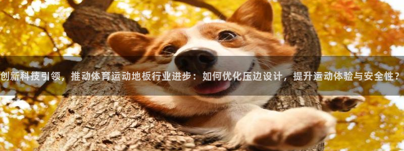 中欧体育官网：创新科技引领，推动体育运动地板行业进步：如何优化压边设计，提升运动体验与安全性？