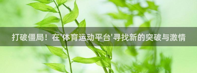 中欧体育kok：打破僵局！在\'体育运动平台\'寻找新的突破与激情