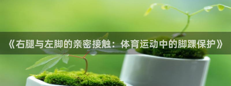 zoty中欧体育：《右腿与左脚的亲密接触：体育运动中的脚踝保护》