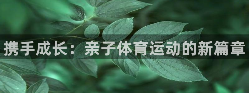 中欧体育最新地址：携手成长：亲子体育运动的新篇章