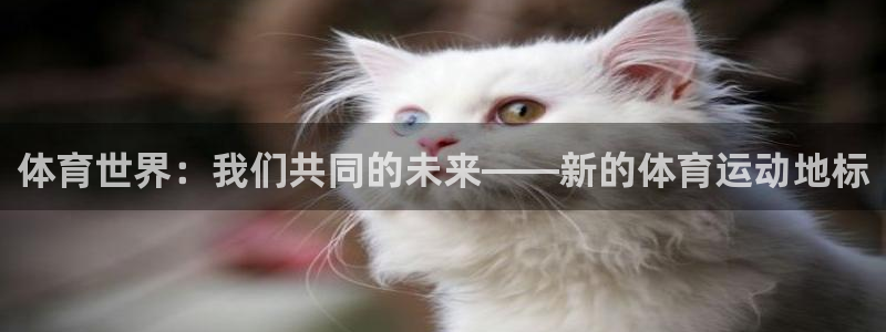 kok中欧体育登录：体育世界：我们共同的未来——新的体育运动地标