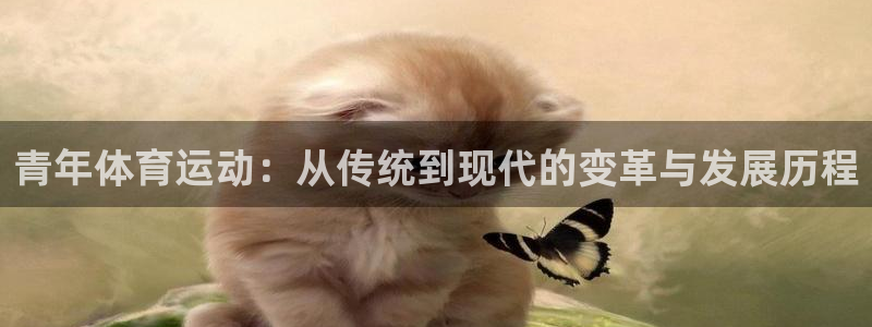 中欧体育网页版：青年体育运动：从传统到现代的变革与发展历程