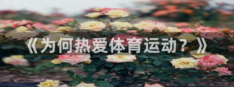 中欧体育在线