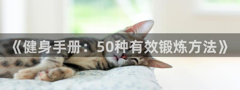 kok中欧体育